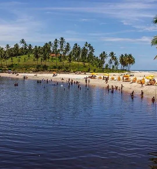 Amado - Agência de Turismo em Ilhéus